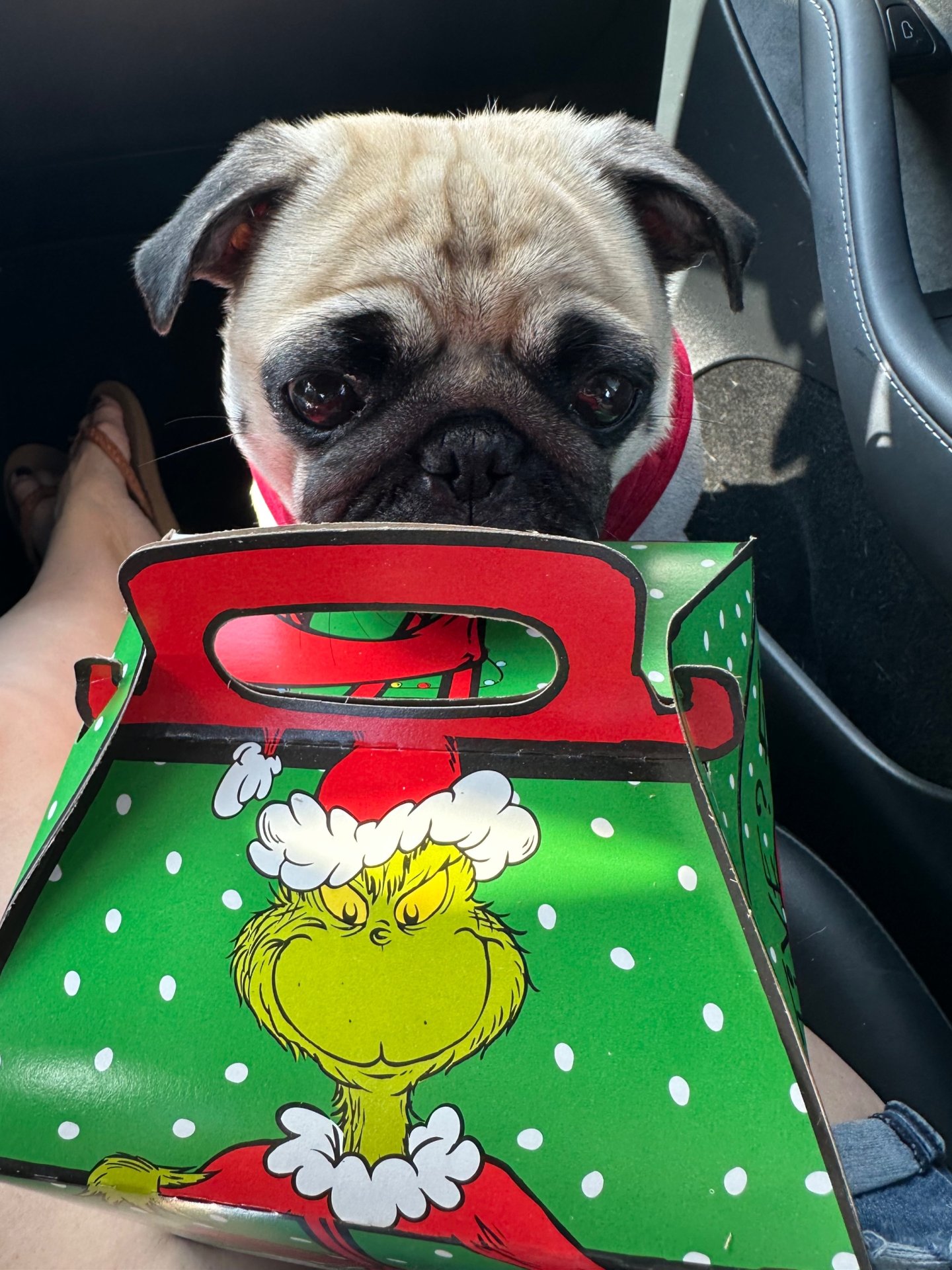 Scored a Grinch Happy Meal!