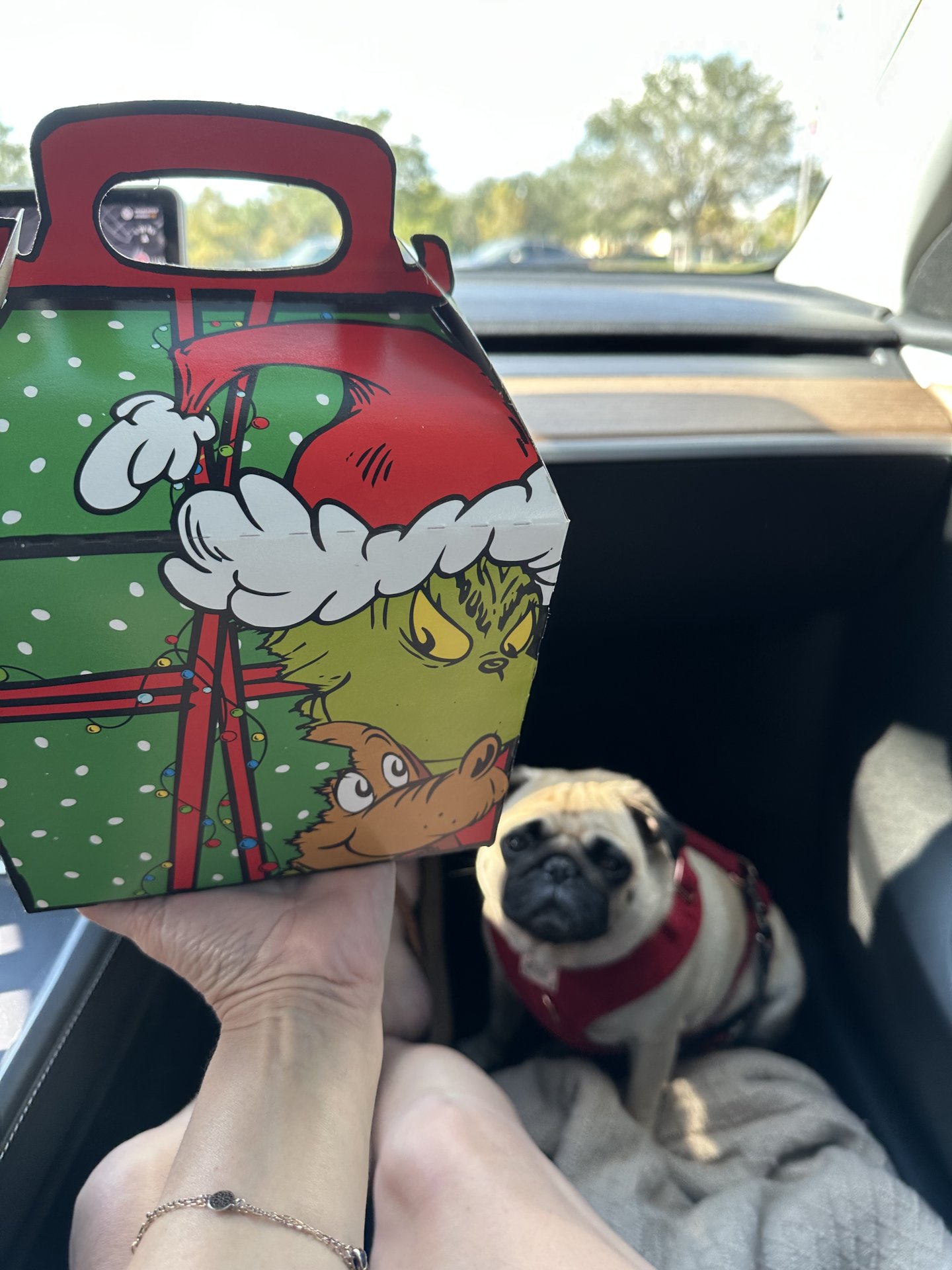 Scored a Grinch Happy Meal!