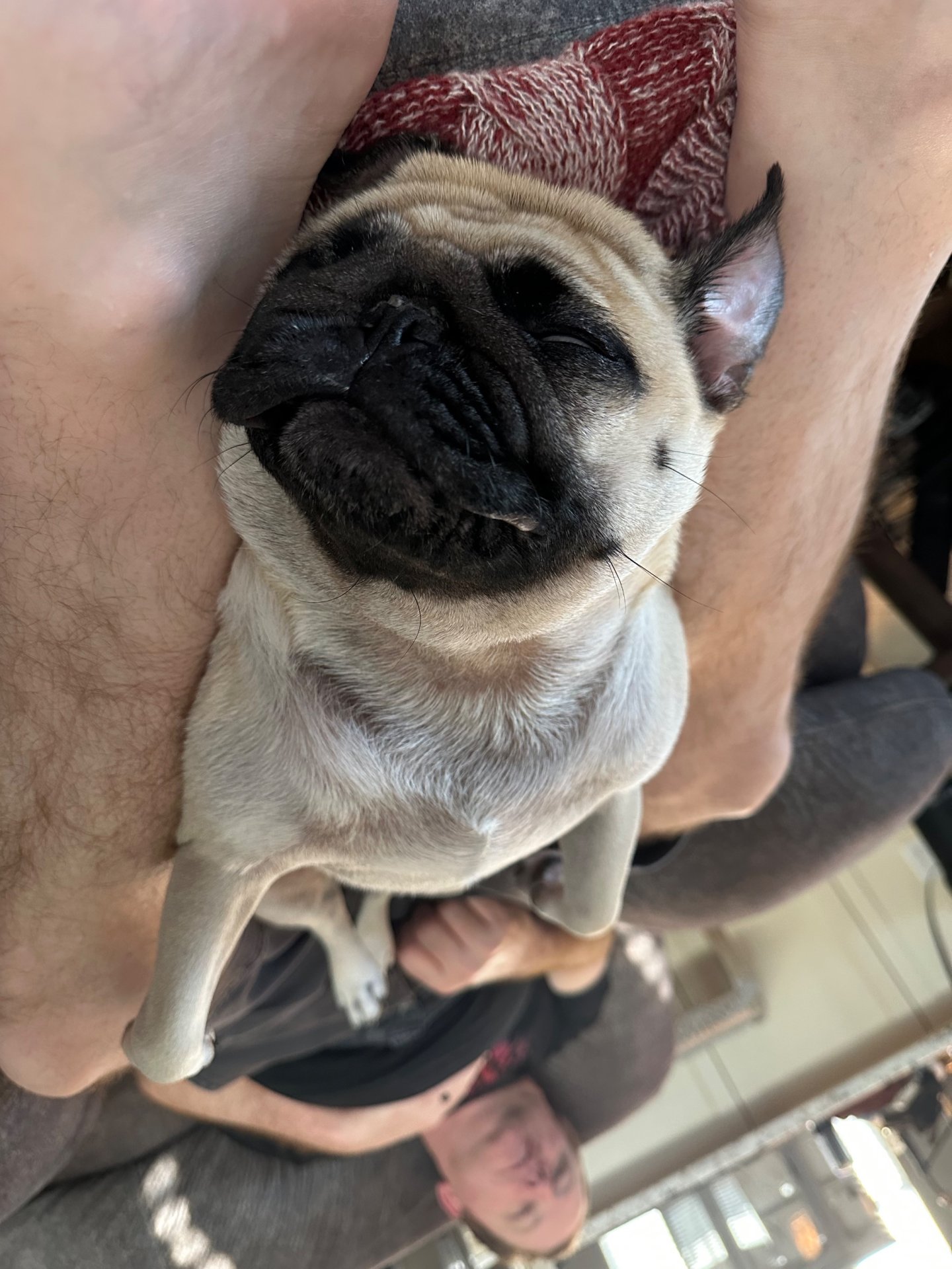 🐾 Padme’s Little Miracle Magic 🐾