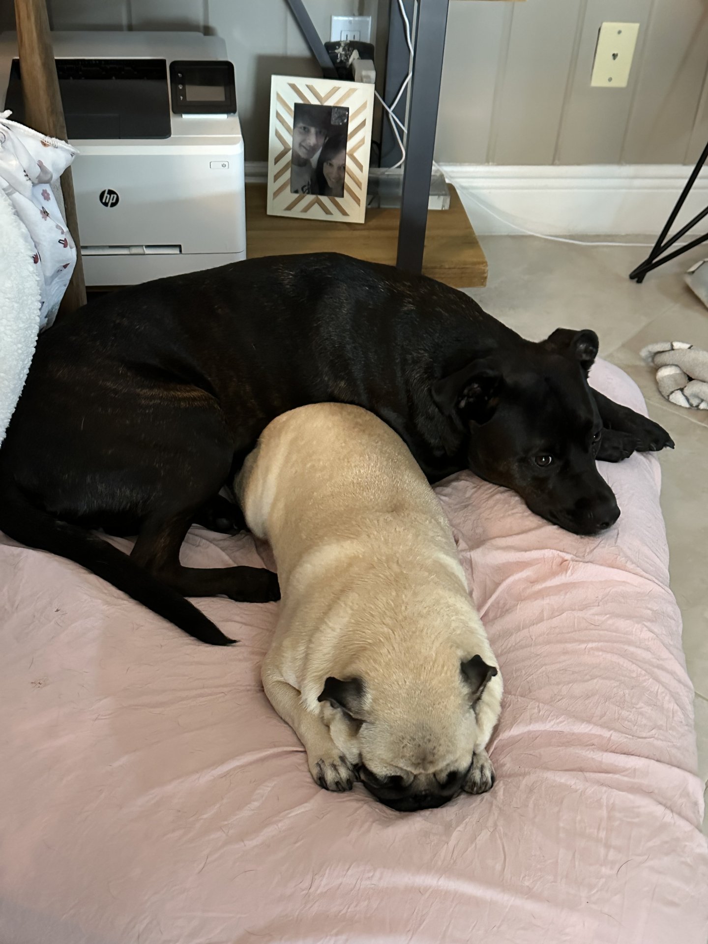 ✨ Quiet Moments with Obi & Patty ✨